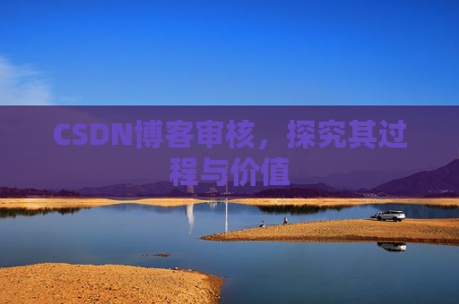 CSDN博客审核，探究其过程与价值